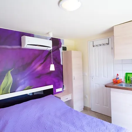 Orgona Apartman- Es Nyaralohaz