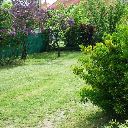 Apartament Orgona Apartman- Es Nyaralohaz