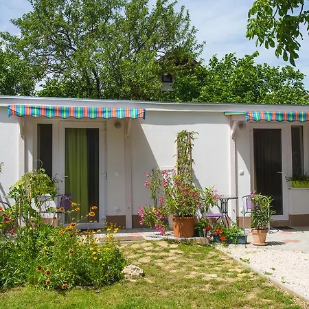 Orgona Apartman- Es Nyaralohaz